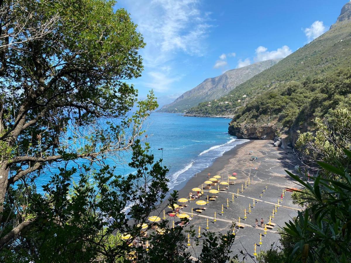 Ferienwohnung Residenze Maremonti Maratea Exterior foto